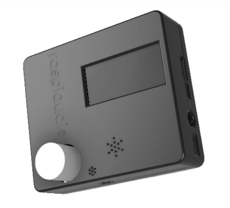 ESP Muse Mn Cast (black) RASPIAUDIO